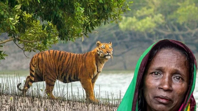 সংসদে ‘বাঘ বিধবা’ ভাতা চালুর দাবি গাজী নজরুল ইসলাম এমপির