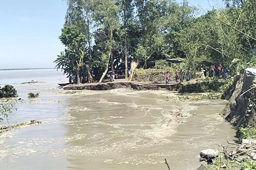 যমুনার ভয়াবহ ভাঙনে তিন মাসে বিলীন বসতভিটা-ফসলি জমি