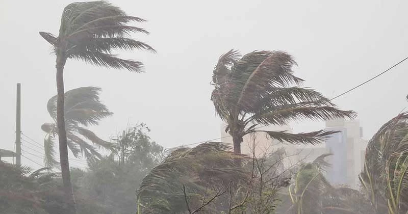 দেশের ছয় জেলায় দমকা হাওয়াসহ ঝড়-বৃষ্টির আশঙ্কা, নদীবন্দরে সতর্কতা