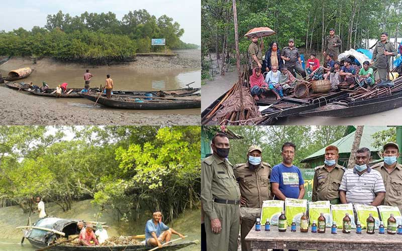 সুন্দরবনে বিষ দিয়ে মাছ শিকার, ব্যবস্থা নেওয়ার সুপারিশ