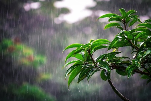 সারা দেশে ভারি বর্ষণের আভাস